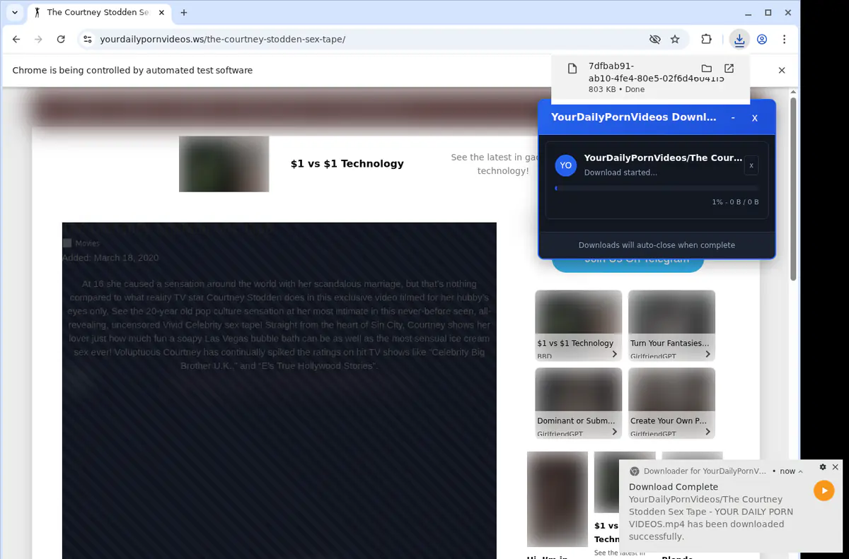 Yourdailypornvideos Video Downloader browser extension screenshot 2