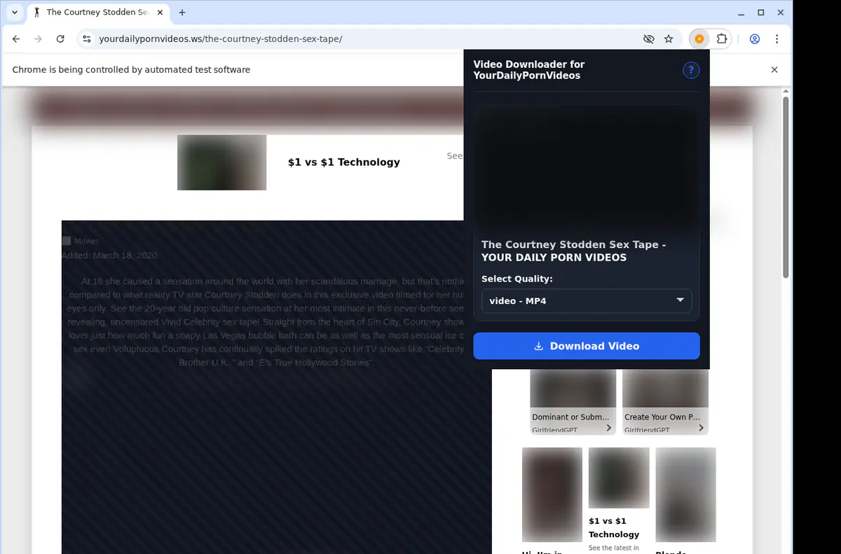 Yourdailypornvideos Video Downloader browser extension screenshot 3